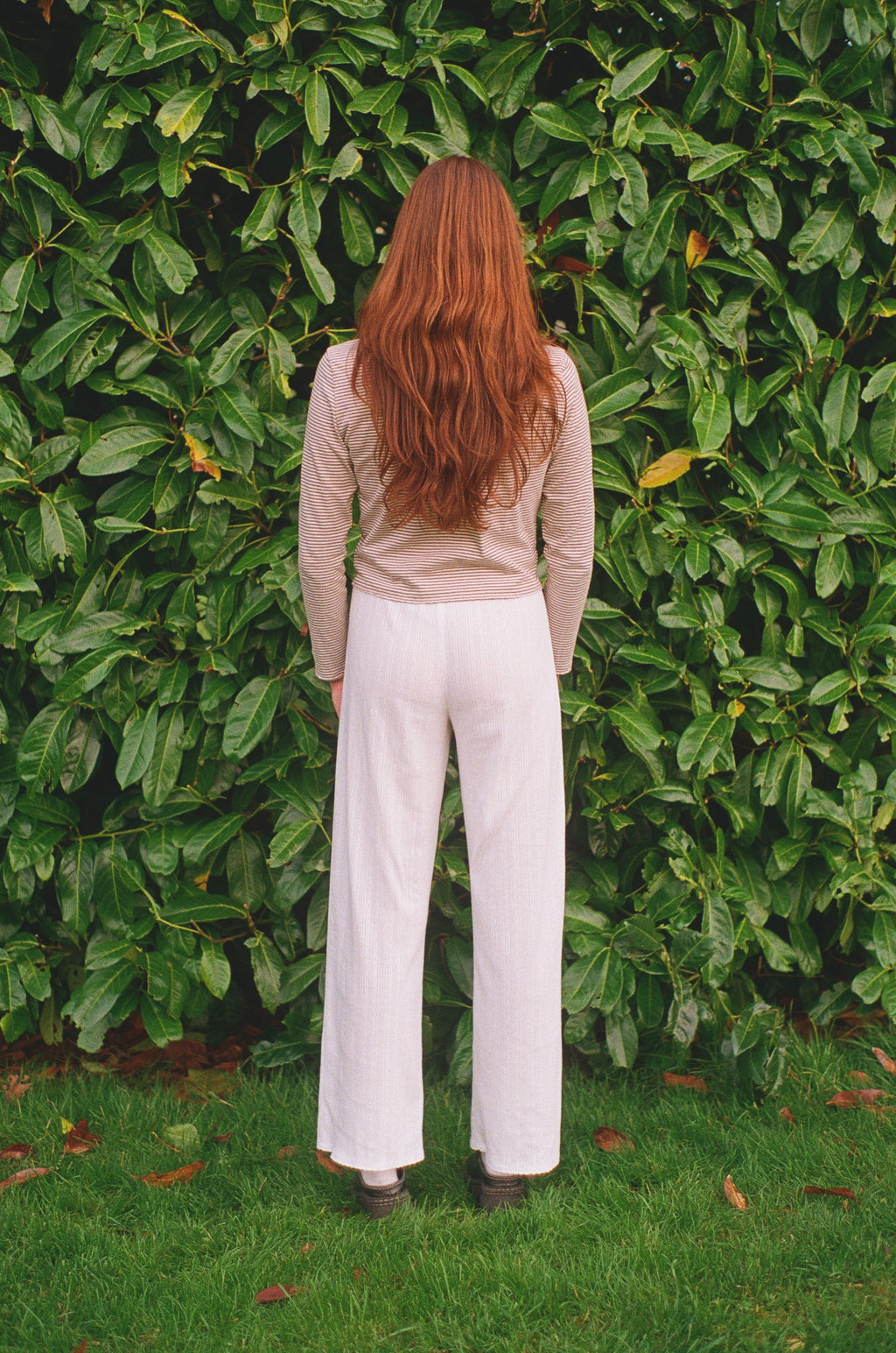 THE POINTELLE LOUNGE PANT