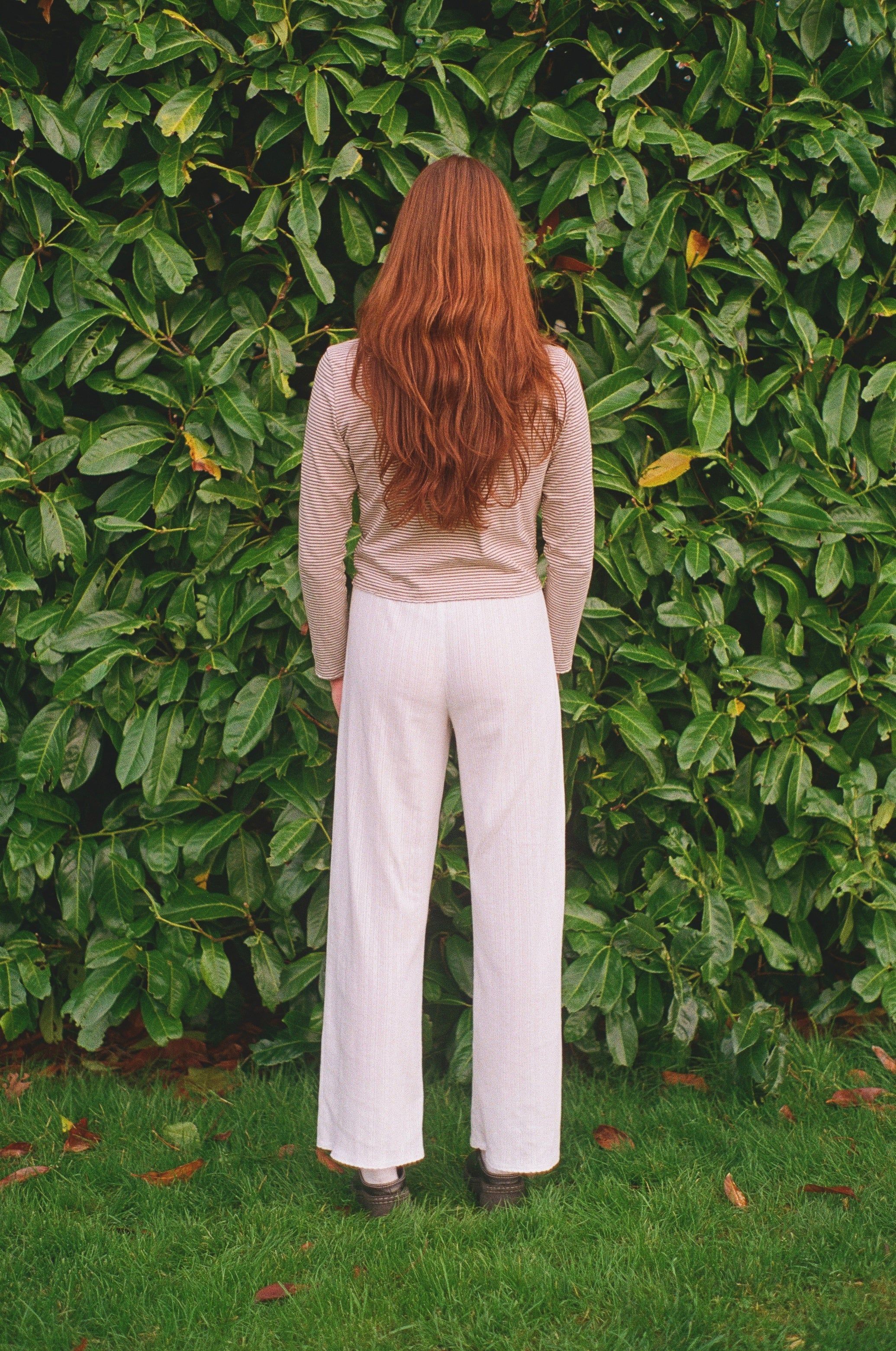 THE POINTELLE LOUNGE PANT