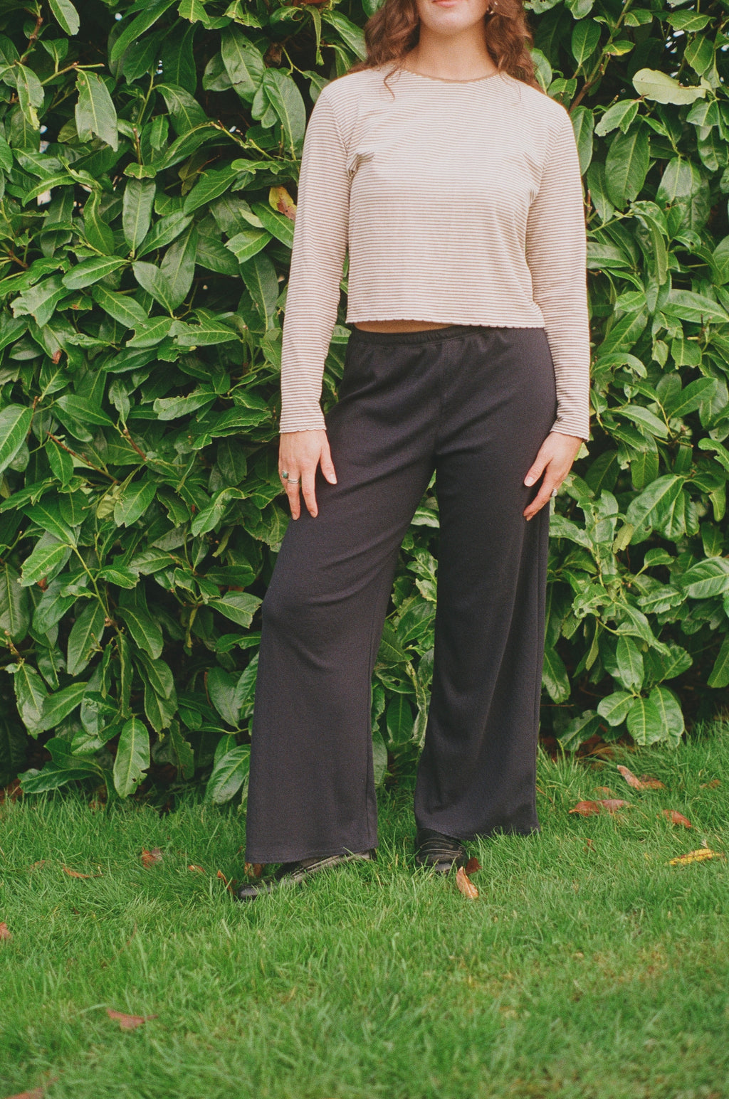 THE POINTELLE LOUNGE PANT