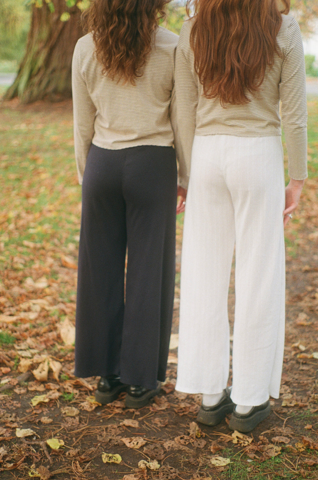 THE POINTELLE LOUNGE PANT