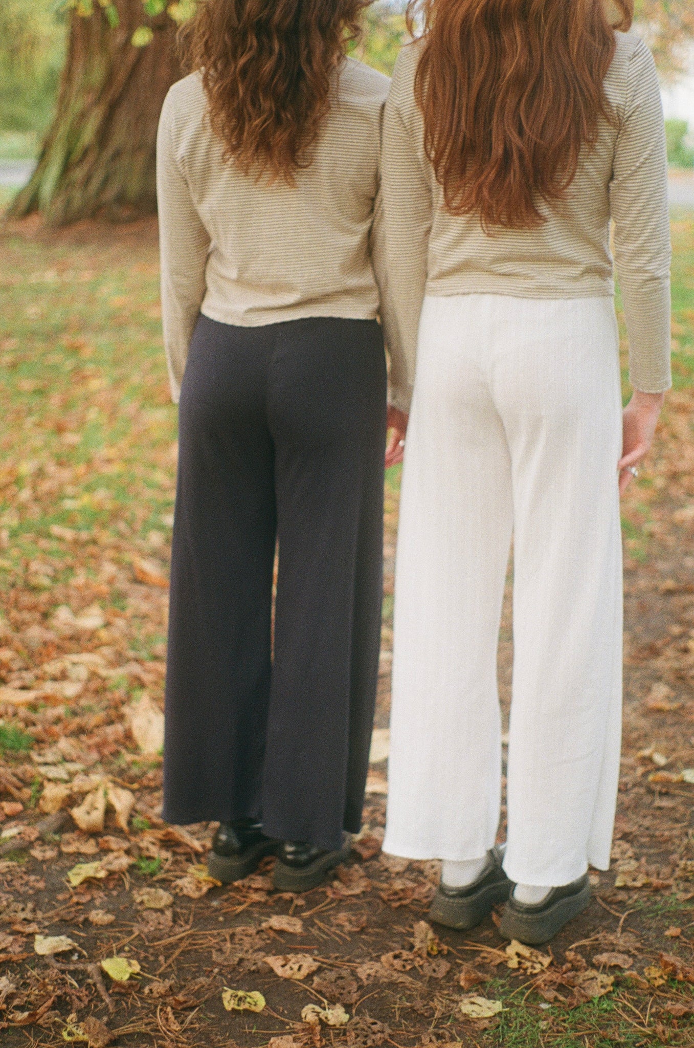 THE POINTELLE LOUNGE PANT